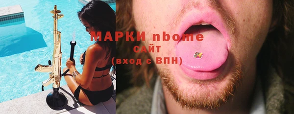 шишки Гусиноозёрск