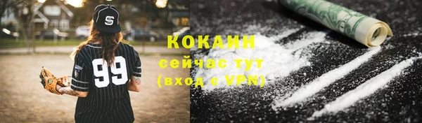 трава Няндома