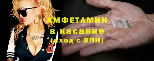 трава Няндома