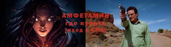 трава Няндома