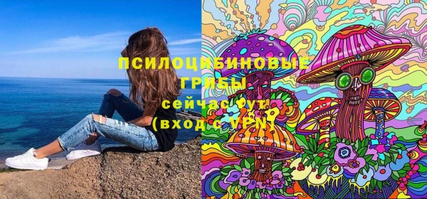 сатива Нязепетровск