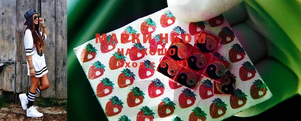 трава Няндома