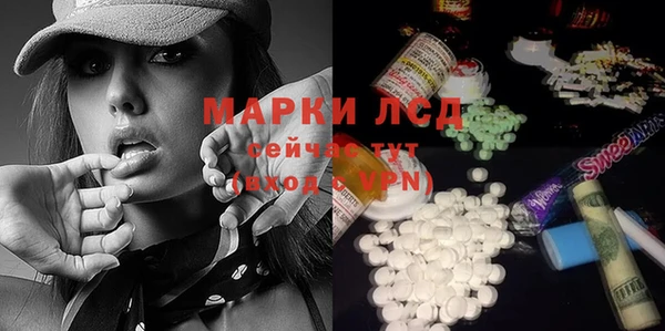 трава Няндома