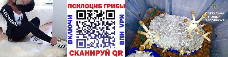 Псилоцибиновые грибы MAGIC MUSHROOMS  гидра ТОР  Макушино 